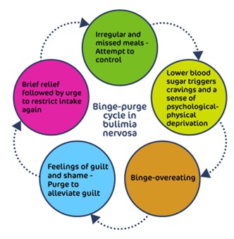 Binge Eating Disorder Cycle